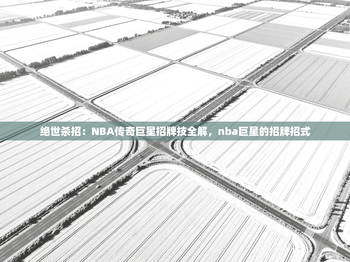 爱游戏 ayx 中国官方网站_ayx sports-绝世杀招：NBA传奇巨星招牌技全解，nba巨星的招牌招式  第4张