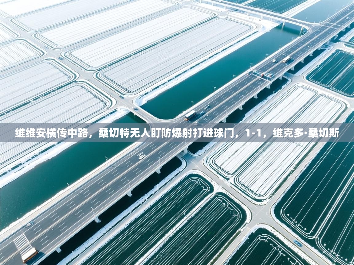 爱游戏体育娱乐赞助罗马-维维安横传中路,桑切特无人盯防爆射打进球门,1-1,维克多·桑切斯 第3张