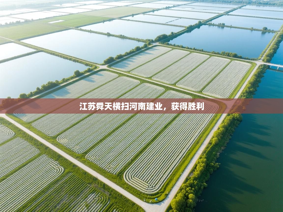 爱游戏厅下载-江苏舜天横扫河南建业，获得胜利