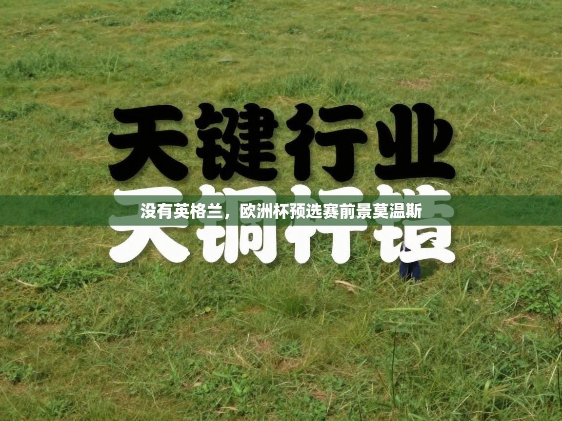 爱游戏体育娱乐马竞赞助商-没有英格兰，欧洲杯预选赛前景莫温斯